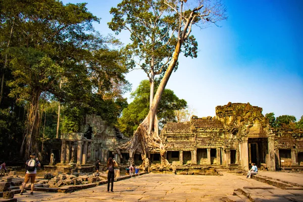 Angkor Wat Tempelruiner Kambodja — Stockfoto