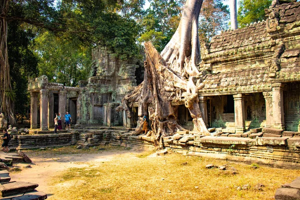 Territorium Van Angkor Wat Tempel Ruïnes Cambodja — Stockfoto