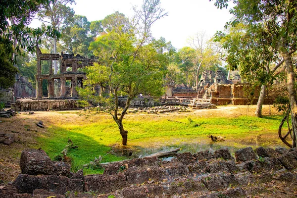 Angkor Wat Taş Tapınağı, Kamboçya 