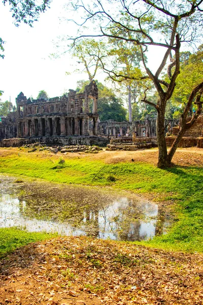 Angkor Wat Taş Tapınağı Kamboçya — Stok fotoğraf
