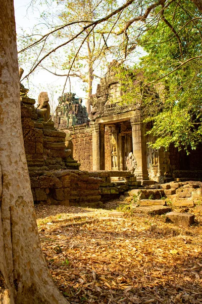 Tempel Von Angkor Wat Kambodscha — Stockfoto