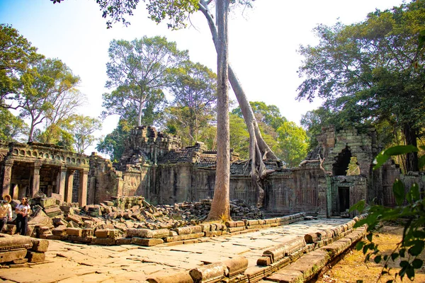 Tempel Von Angkor Wat Kambodscha — Stockfoto