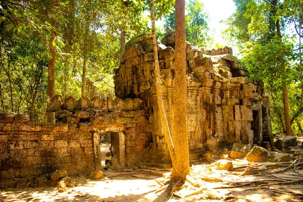 Templo Piedra Angkor Wat Camboya —  Fotos de Stock