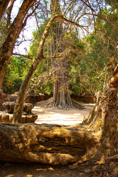 Templo Pedra Angkor Wat Camboja — Fotografia de Stock