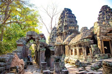 Kamboçya 'daki Angkor Wat tapınağının kalıntıları.