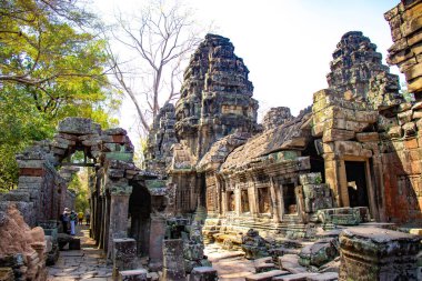 Kamboçya 'daki Angkor Wat tapınağının kalıntıları.