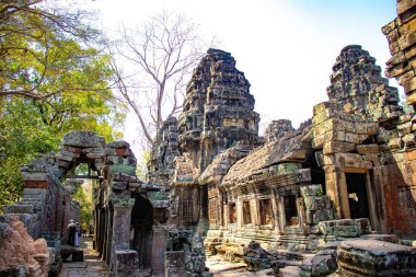 Kamboçya 'daki Angkor Wat tapınağının kalıntıları.