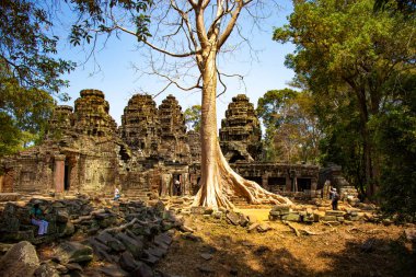 Kamboçya 'daki Angkor Wat tapınağının kalıntıları.