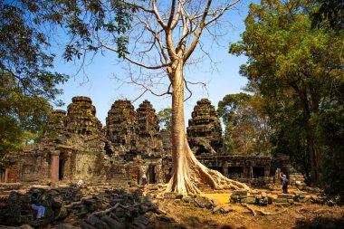 Kamboçya 'daki Angkor Wat tapınağının kalıntıları.