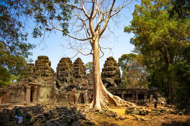 Kamboçya 'daki Angkor Wat tapınağının kalıntıları.