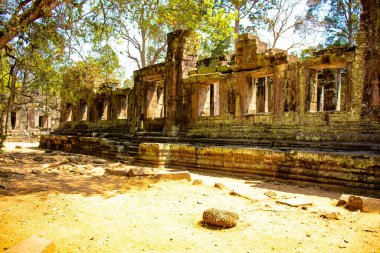 Kamboçya 'daki Angkor Wat tapınağının kalıntıları.
