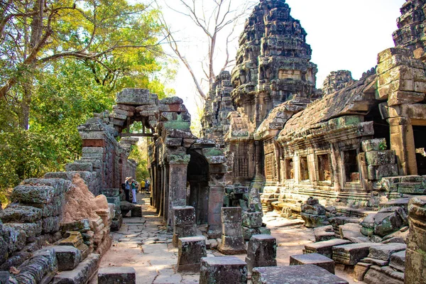 Kamboçya 'daki Angkor Wat tapınağının kalıntıları.