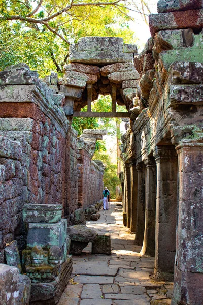 Kamboçya Daki Angkor Wat Tapınağının Kalıntıları — Stok fotoğraf