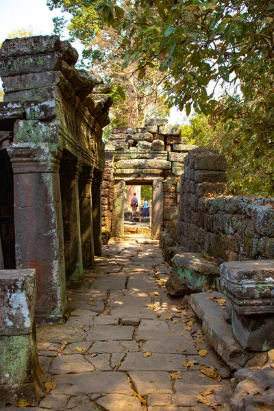 Kamboçya Daki Angkor Wat Tapınağının Kalıntıları — Stok fotoğraf
