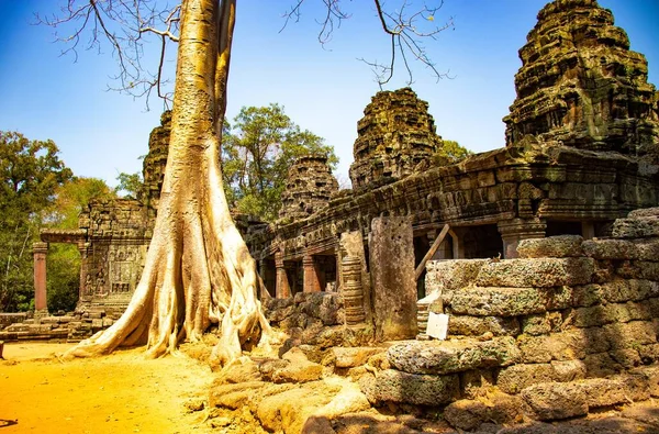 Ruinas Del Templo Angkor Wat Camboya — Foto de Stock