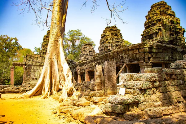 カンボジアの寺院アンコールワットの遺跡 — ストック写真