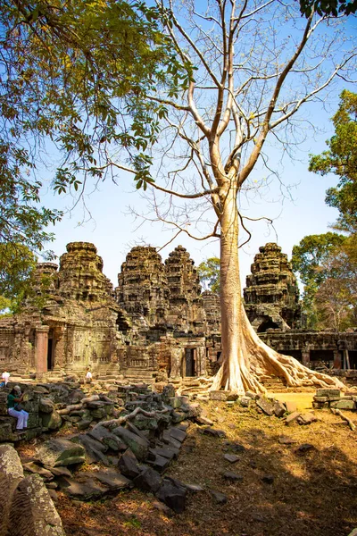 Kamboçya 'daki Angkor Wat tapınağının kalıntıları.