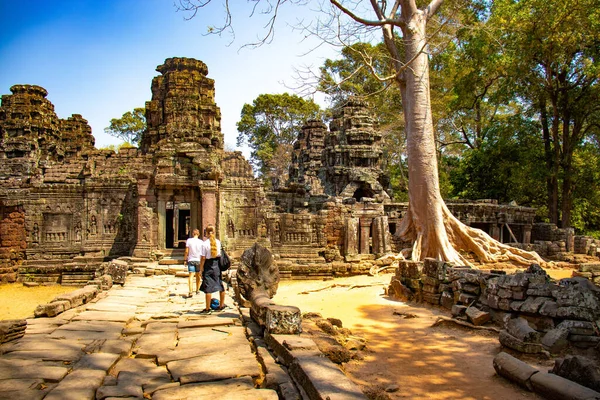 Ruinen Des Tempels Angkor Wat Kambodscha — Stockfoto