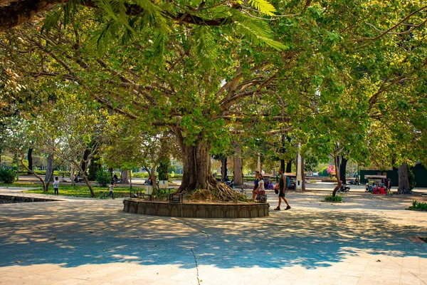 Scena Urbana Della Città Siem Reap Cambogia — Foto Stock