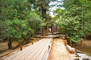 Ta Phrom Tapınağının antik kalıntıları, Kamboçya 