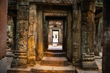 Ta Phrom Tapınağının antik kalıntıları, Kamboçya 