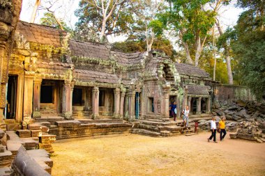 Ta Phrom Tapınağının antik kalıntıları, Kamboçya 