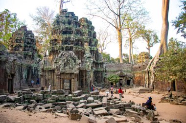Ta Phrom Tapınağının antik kalıntıları, Kamboçya 