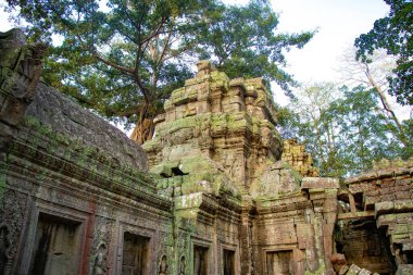 Ta Phrom Tapınağının antik kalıntıları, Kamboçya 