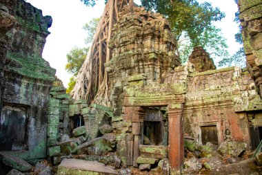 Ta Phrom Tapınağı kalıntıları, Kamboçya 