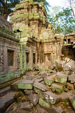 Ta Phrom Tapınağı, Kamboçya 