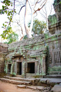 Ta Phrom Tapınağı, Kamboçya 