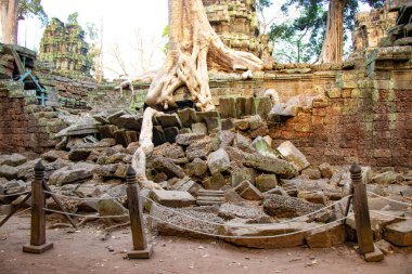 Ta Phrom Tapınağı, Kamboçya 