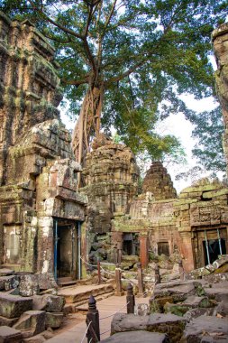 Ta Phrom Tapınağı, Kamboçya 