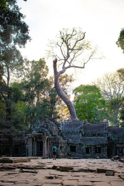 Ta Phrom Tapınağı, Kamboçya 