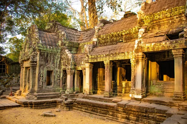 Phrom Tapınağının Antik Kalıntıları Kamboçya — Stok fotoğraf