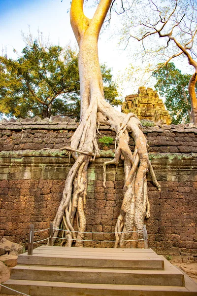 Antiguas Ruinas Del Templo Phrom Camboya —  Fotos de Stock