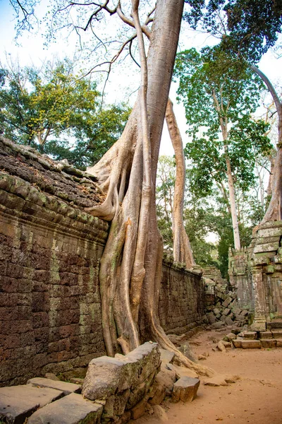 Antiguas Ruinas Del Templo Phrom Camboya —  Fotos de Stock