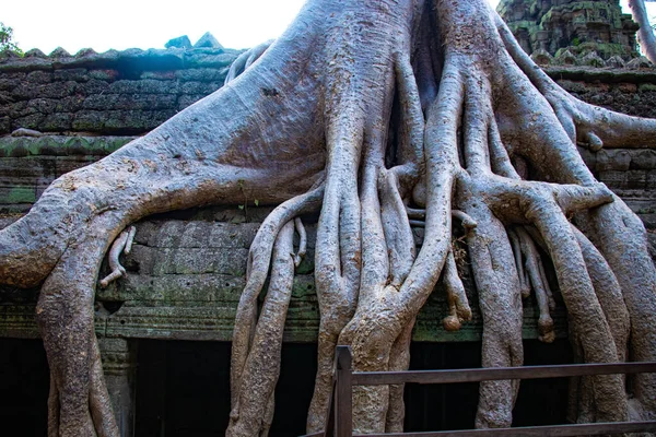 Ruínas Antigas Phrom Temple Camboja — Fotografia de Stock