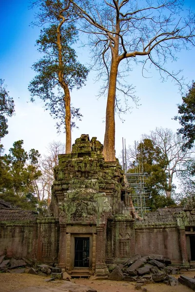 Ta Phrom Temple at daytime, Cambodia