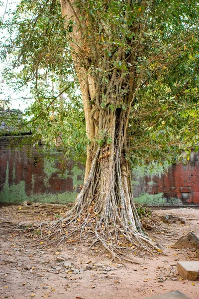 Templo Phrom Durante Dia Camboja — Fotografia de Stock