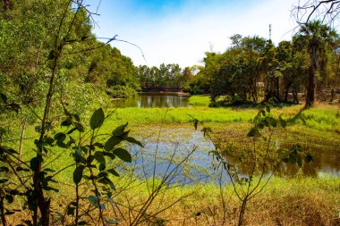 Kamboçya. Phnom Penh. Ölüm Alanları Müzesi