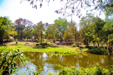 Kamboçya. Phnom Penh. Ölüm Alanları Müzesi