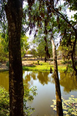 Kamboçya. Phnom Penh. Ölüm Alanları Müzesi