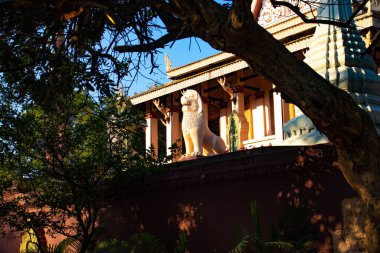 Kamboçya. Phnom Penh. Ne Phnom Tapınağı