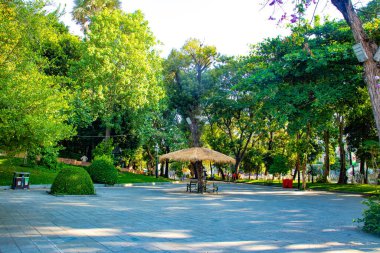 Kamboçya. Phnom Penh. Ne Phnom Tapınağı