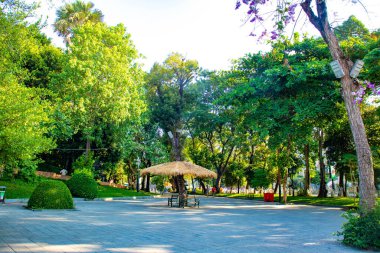 Kamboçya. Phnom Penh. Ne Phnom Tapınağı