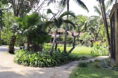 Endonezya, Ubud 'daki Kuş Parkı 