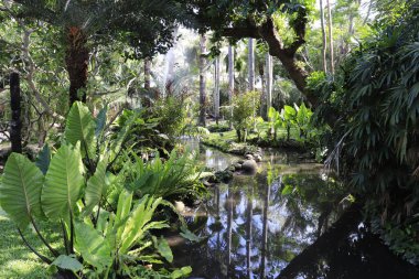 Endonezya, Ubud 'daki Kuş Parkı 