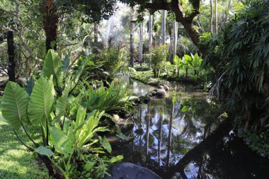 Endonezya, Ubud 'daki Kuş Parkı 