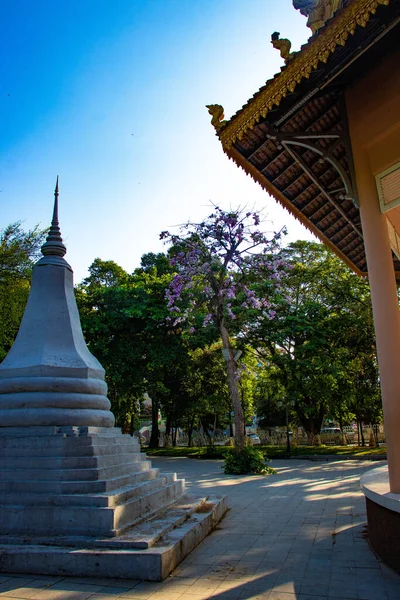 Kambodscha Phnom Penh Der Tempel Von Phnom — Stockfoto